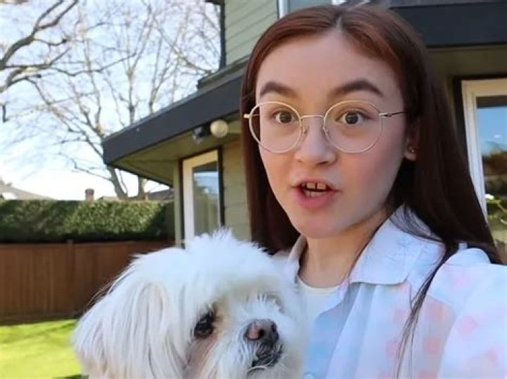 Anna Cathcart Pets