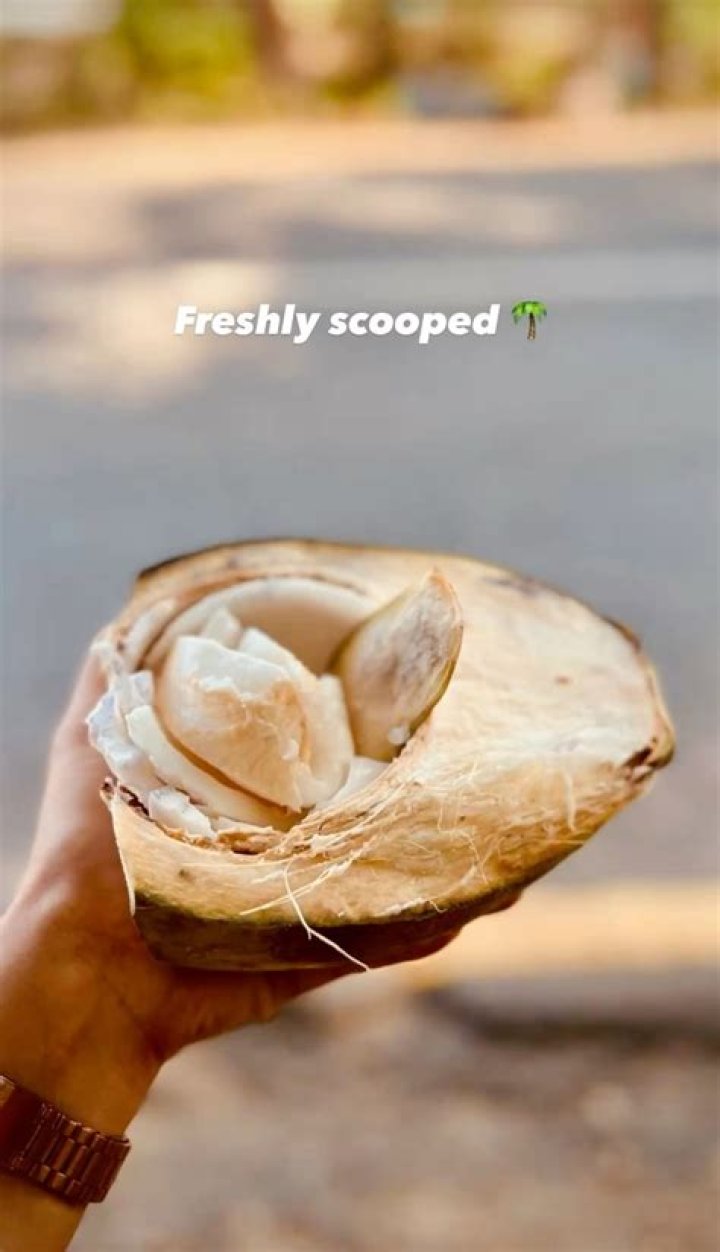 Coconut Instagram